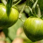 Kan jeg bruge glittespartel til at skabe en marmor-effekt?